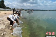 冠县云南江川举行增殖放流活动 逾54万尾鱼游入星云湖